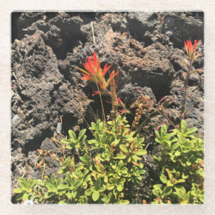 Indischer Pinsel Glasuntersetzer