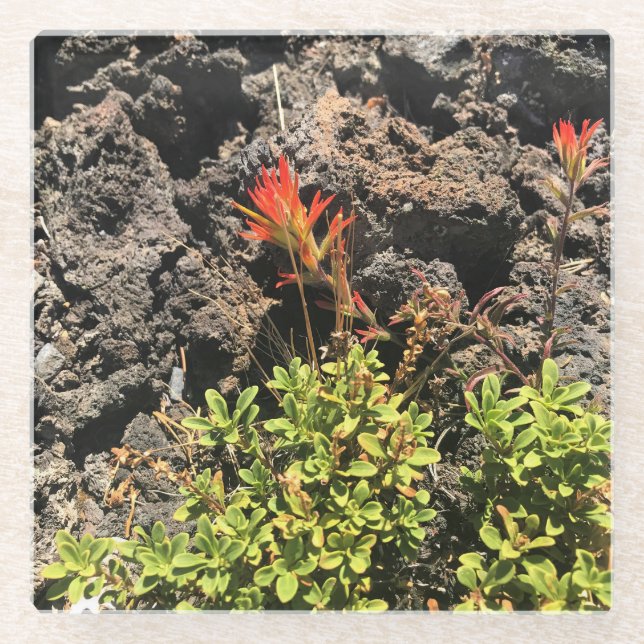 Indischer Pinsel Glasuntersetzer (Vorderseite)