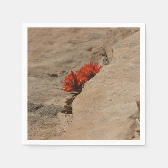 Indischer Pinsel in Rocks bei Zion Serviette (Vorderseite)