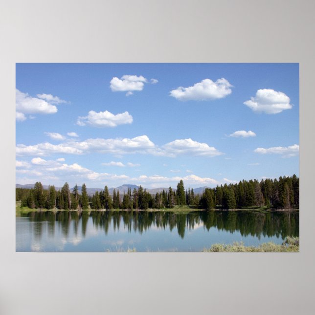 Indischer Teich Poster (Vorne)