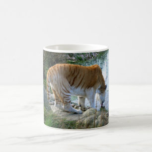 Indischer Tiger Tier Kaffeetasse
