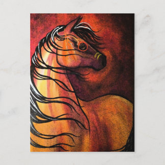 Indisches Buckskin War Horse Postkarte