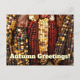 Indisches Cornelkernels-Foto Postkarte