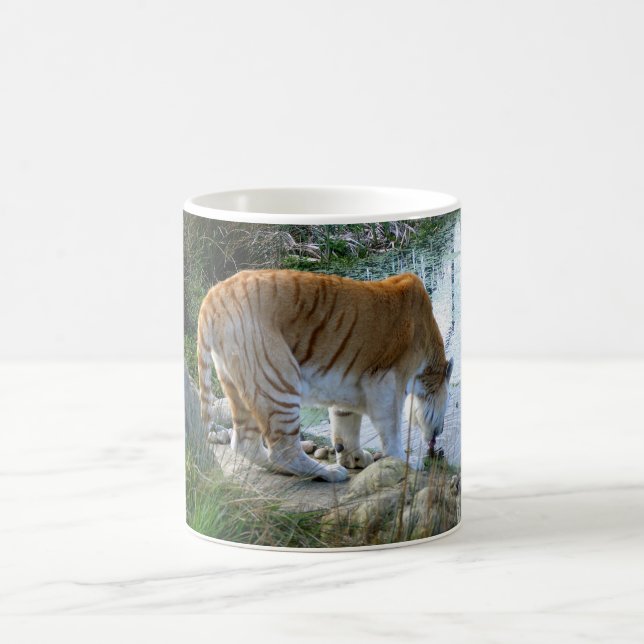 Indisches Tigertier Kaffeetasse (Mittel)