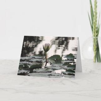 Individualisierbare Grußkarte: Wasserlilien-Fotogr Dankeskarte
