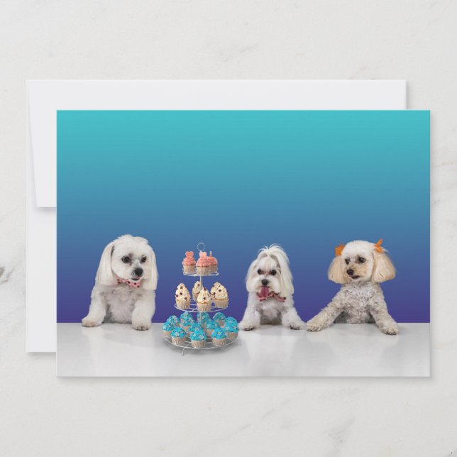 Individuell anpassbare 12x18 für Flachkarten-Party Einladung (Vorderseite)