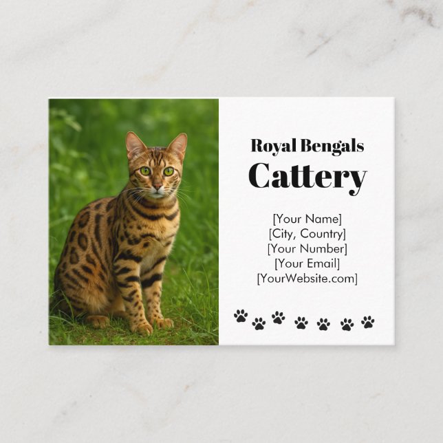 Individuell anpassbare Bengalisch Cattery Business Visitenkarte (Vorderseite)