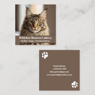 Individuell anpassbare Cattery Business Card mit C Quadratische Visitenkarte
