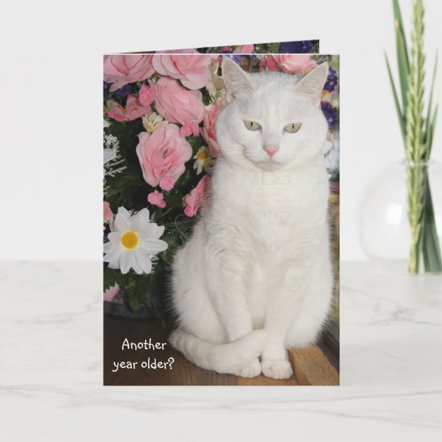 Individuell anpassbare Hübsche Katze Feminine Gebu Karte (Vorderseite)
