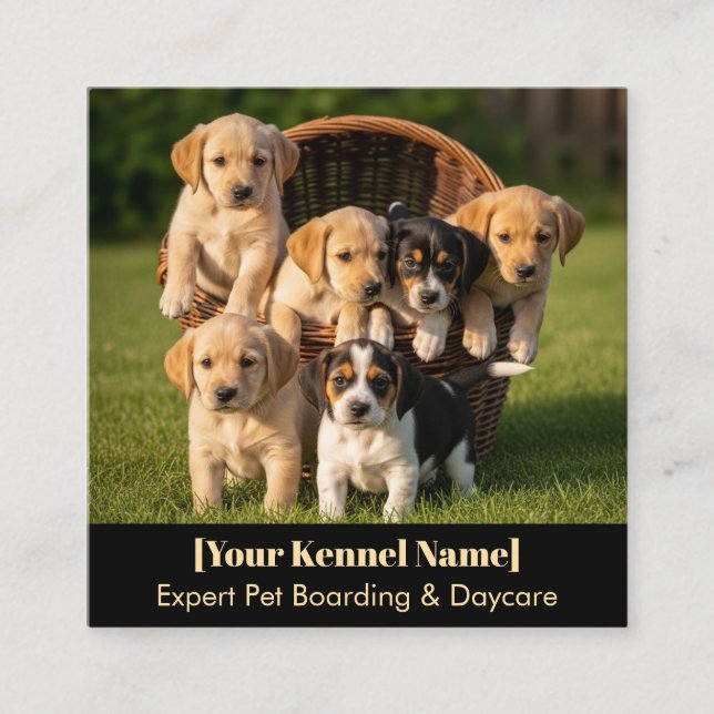 Individuell anpassbare Kennel Business Card Quadratische Visitenkarte (Vorderseite)