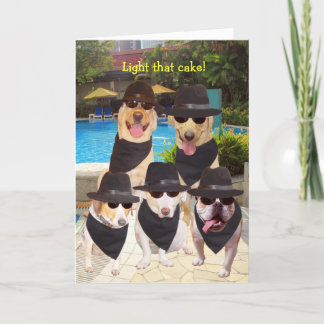Individuell anpassbare lustige Blues Hunde/Labrado Karte