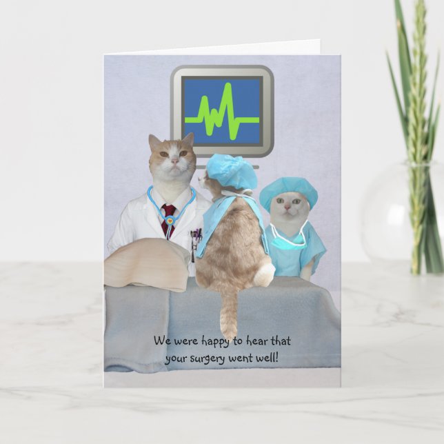 Individuell gestaltete, lustige Katzen/Kätzchen we Karte (Vorderseite)