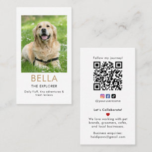 Individuelle Foto-Pet-Influencer-Kooperations-Gesc Visitenkarte