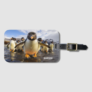 Individuelle Name Cool Pinguine Gepäckanhänger