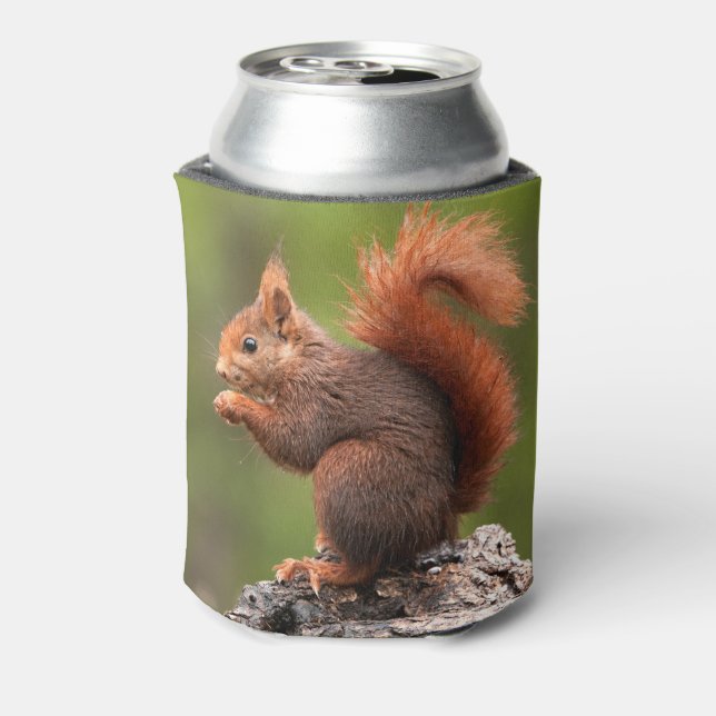Individuelle Name Eichhörnchen Dosenkühler (Kanne Rückseite)