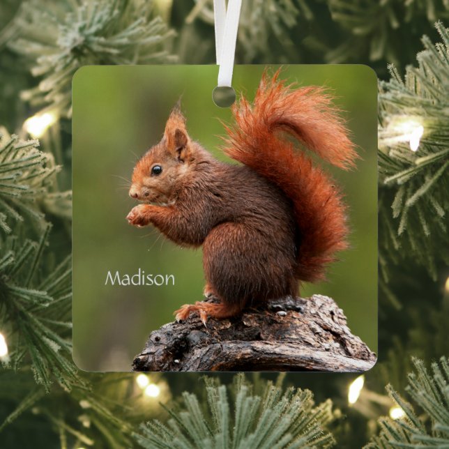 Individuelle Name Eichhörnchen Ornament Aus Metall (InSitu)