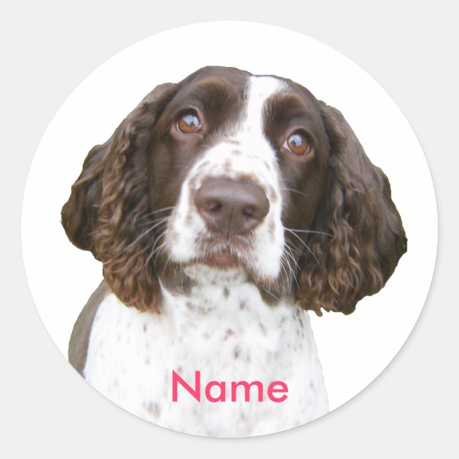 Individuelle Name English Springer Spanel Stickers (Vorderseite)