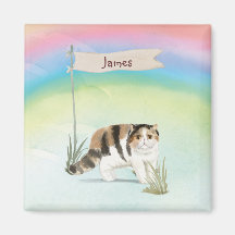 Individuelle Name Exotische Kurze Haarkatze Hausti