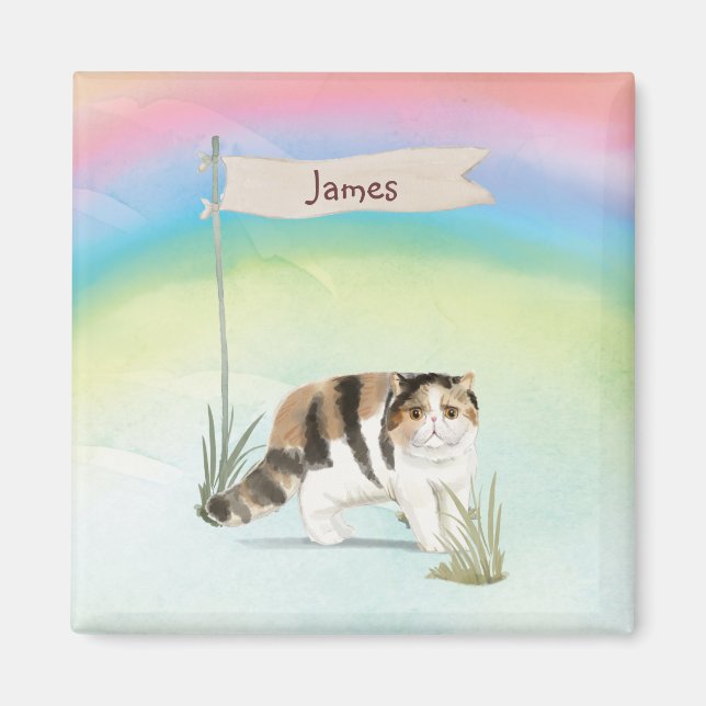 Individuelle Name Exotische Kurze Haarkatze Hausti Magnet (Vorne)
