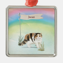 Individuelle Name Exotische Kurze Haarkatze Hausti