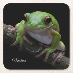Individuelle Name Frog Papier Untersetzer