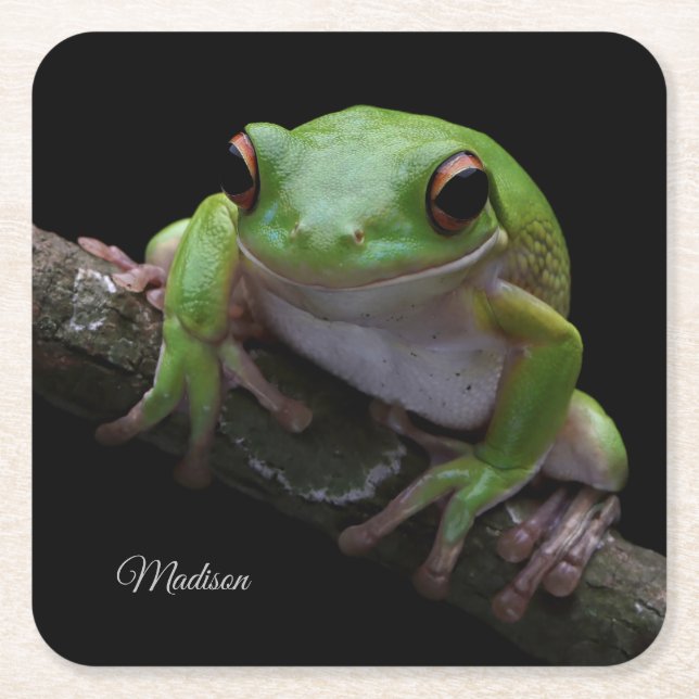 Individuelle Name Frog Papier Untersetzer (Vorderseite)
