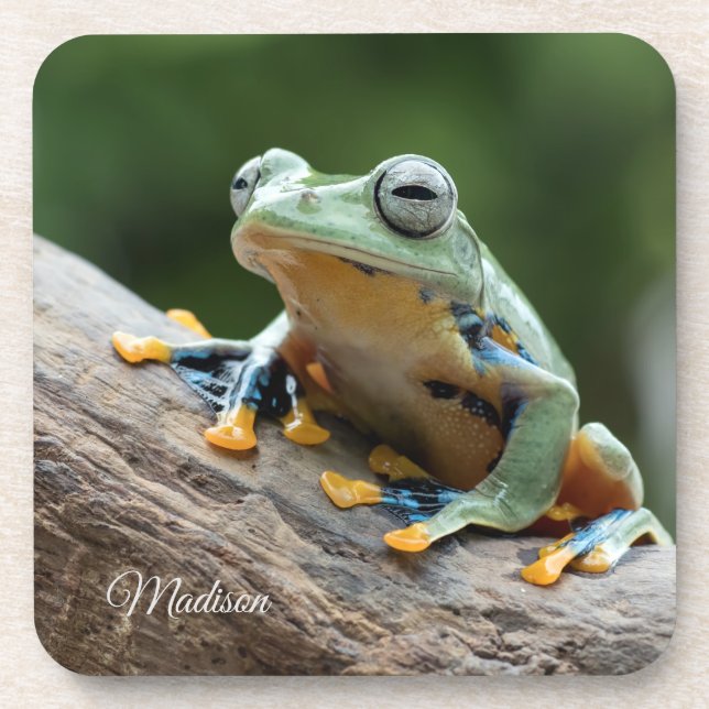 Individuelle Name Frog Untersetzer Set (Vorderseite)