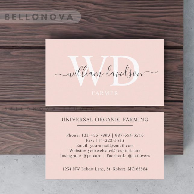Individuelle Name Pfirsichpfirsichrosa Schwarze Mo Visitenkarte (Custom Name Pale Peach Pink White Black Monogram Business Card)