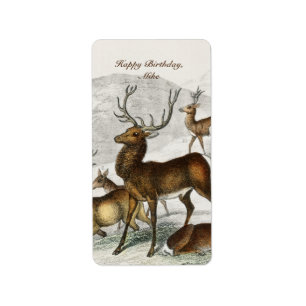 individuelle Name Roter Hirschhaar, Hind, Roebuck, Adressaufkleber