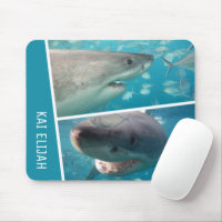 Individuelle Name Sharks Ocean Australia FotoColla
