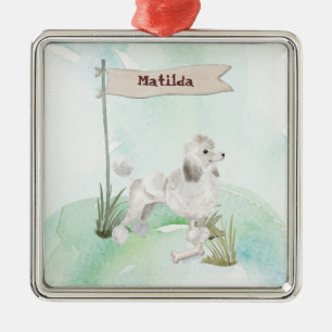 Individuelle Name Weiße Pfütze Ornament Aus Metall