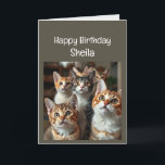 Individuelle Name Women Birthday Funny Cat Karte<br><div class="desc">Individuelle Name Women Birthday Funny Cat Menopause Spaß</div>
