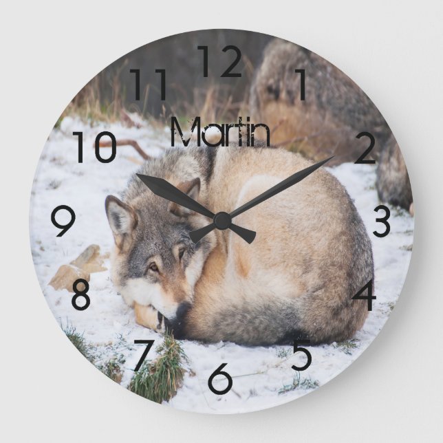 Individuelle Wölfe, die auf Schnee schlafen Große Wanduhr (Vorderseite)