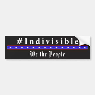 INDIVISIBLE - Nous Le Peuple Sticker