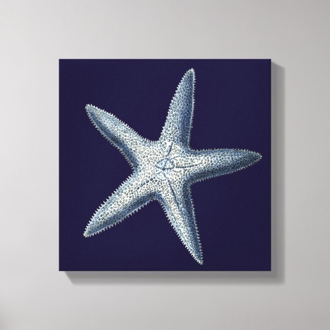 Indizes Muscheln IV Leinwanddruck (Vorderseite)