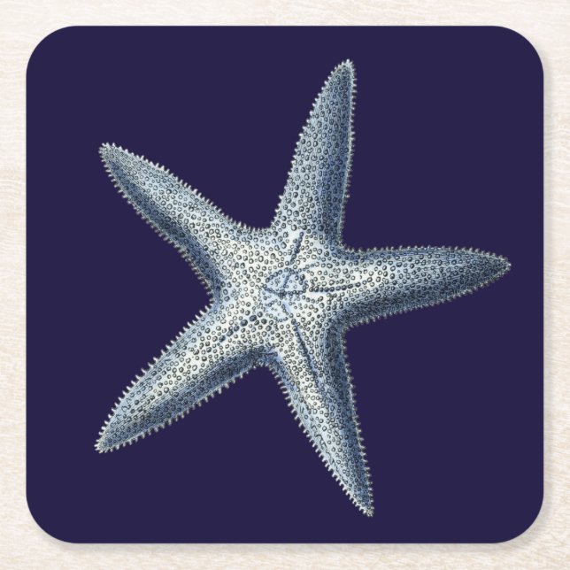 Indizes Muscheln IV Rechteckiger Pappuntersetzer (Vorderseite)