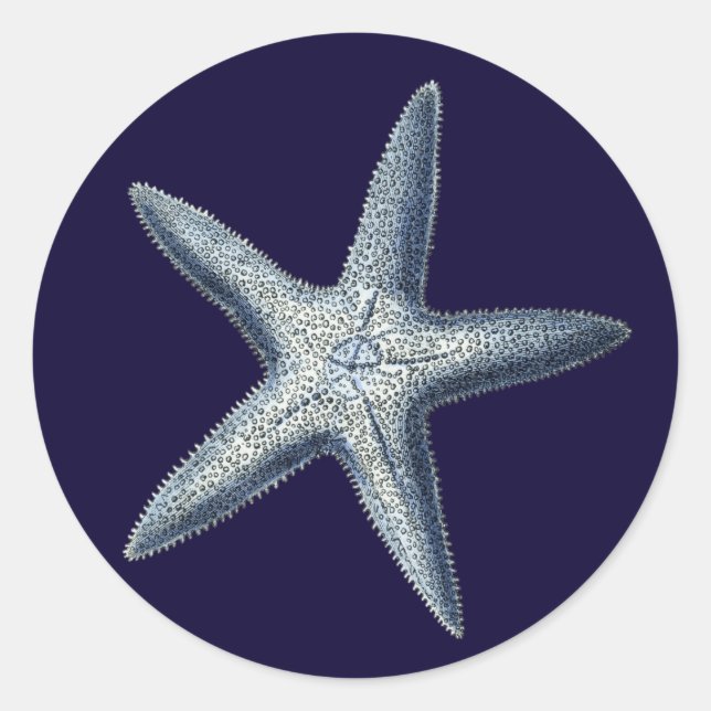 Indizes Muscheln IV Runder Aufkleber (Vorderseite)