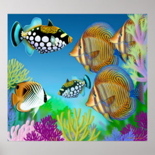 Indo-Pazifisches Korallenriff-Fisch-Plakat Poster