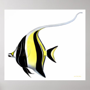 Indo pazifisches Riff-maurisches Idol-Fisch-Plakat Poster