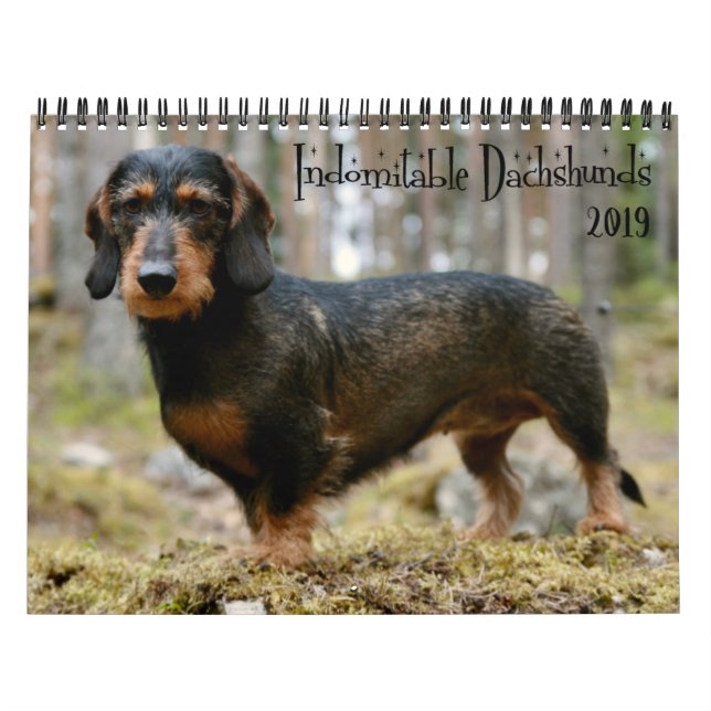 Indomäne Dackeln nach Jahr Kalender (Titelbild)