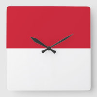 Indonesia Flag