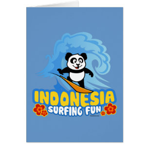 Indonésie Surf Panda