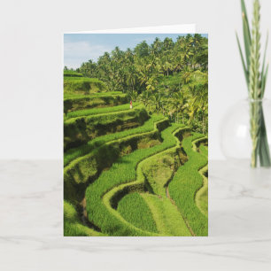 Indonesien, Bali  Reisfelder Karte