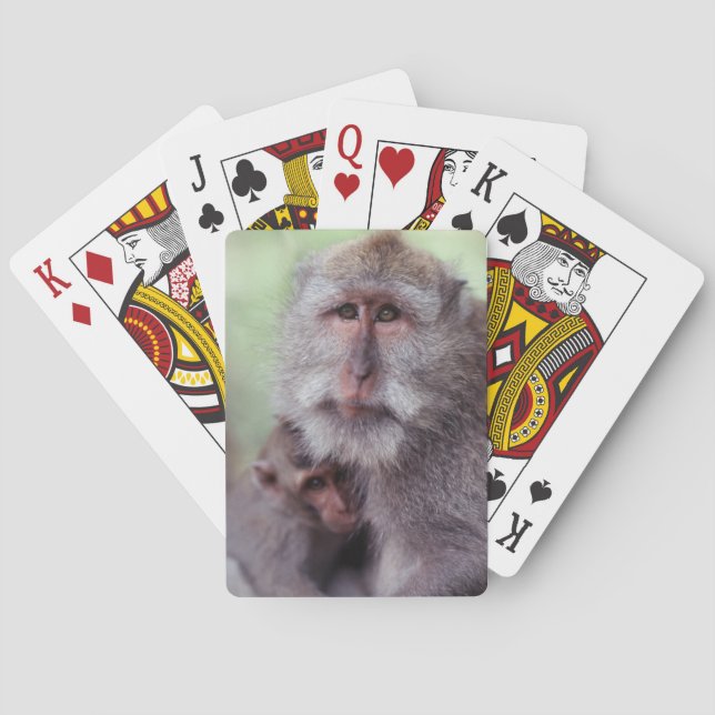 Indonesien, Bali, Ubud, Macaque Spielkarten (Rückseite)