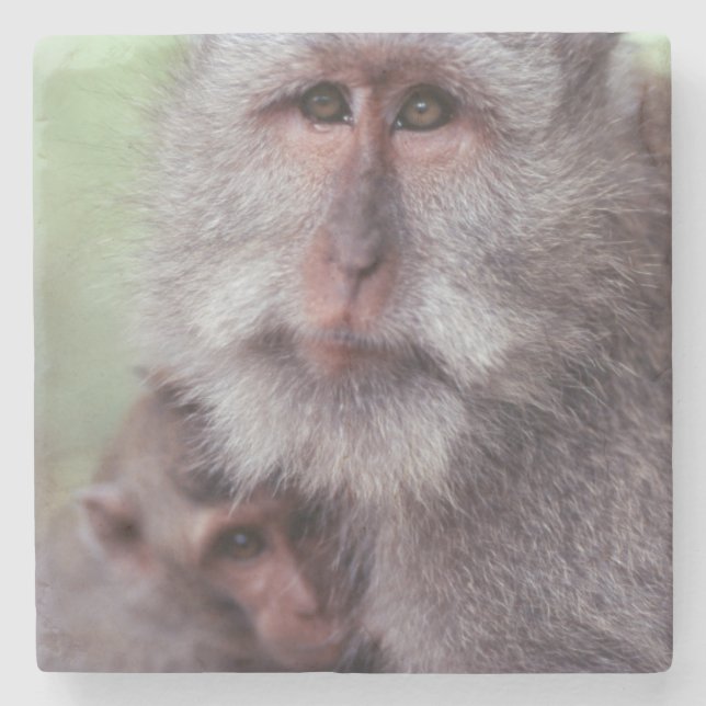 Indonesien, Bali, Ubud, Macaque Steinuntersetzer (Vorderseite)