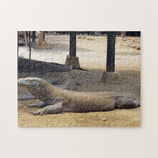Indonesien Komodo Dragon National Park. (Horizontal)