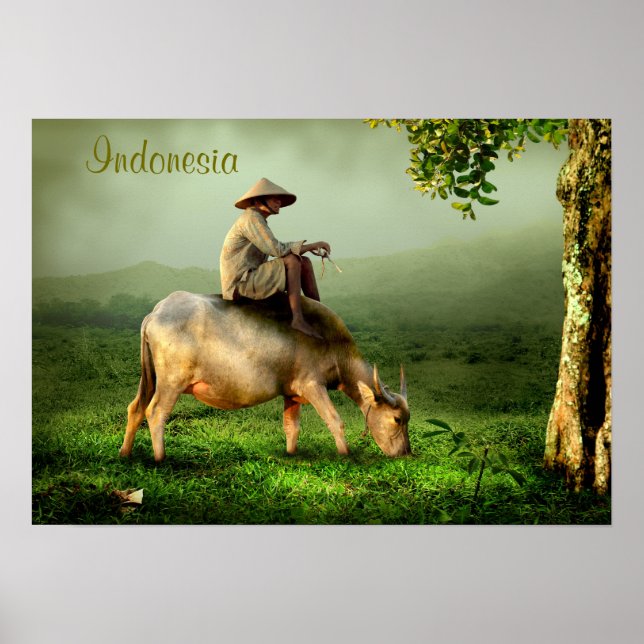 Indonesien Landschaftliche Landschaft mit Buffalo  Poster (Vorne)
