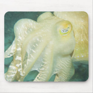 Indonesien, Provinz Süd-Sulawesi, Wakatobi Mousepad