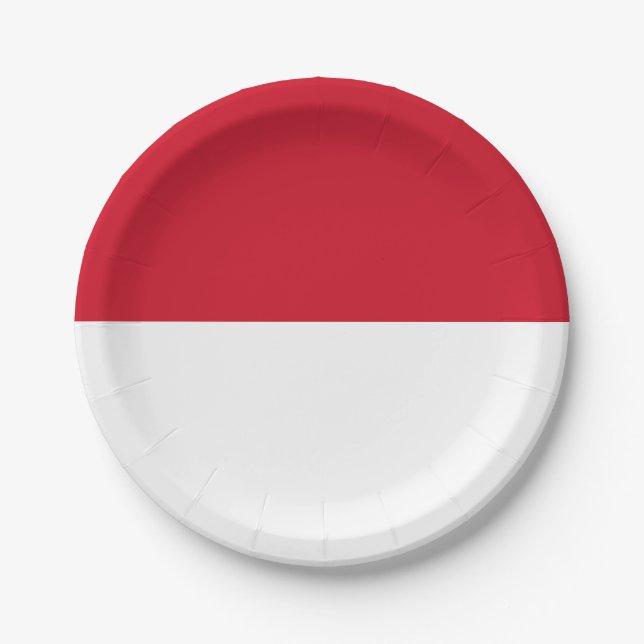 Indonesische Flagge Pappteller (Vorderseite)