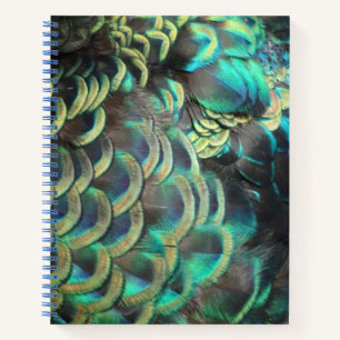 indonesische Peacock Feathers-Muster-Notebook Notizbuch